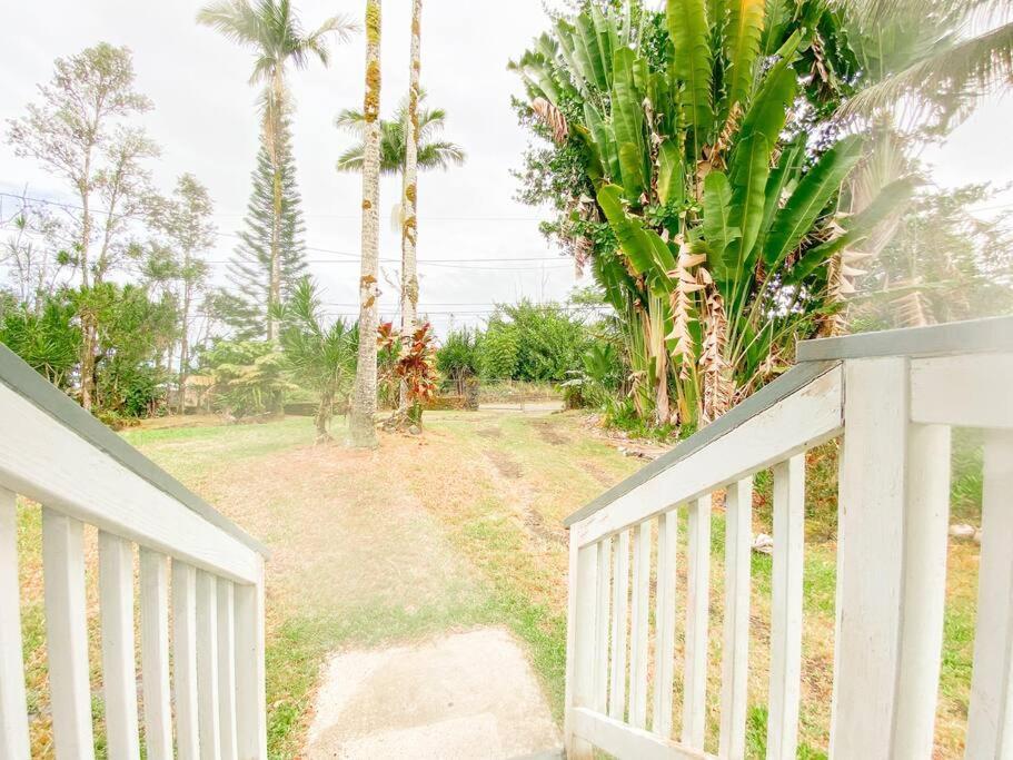 Monstera Bungalow, Spacious, King Bed, Big Kitchen Keaau Extérieur photo